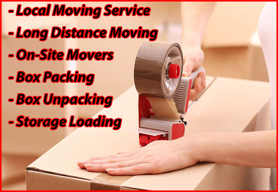 Packers And Movers Noida Sector 101